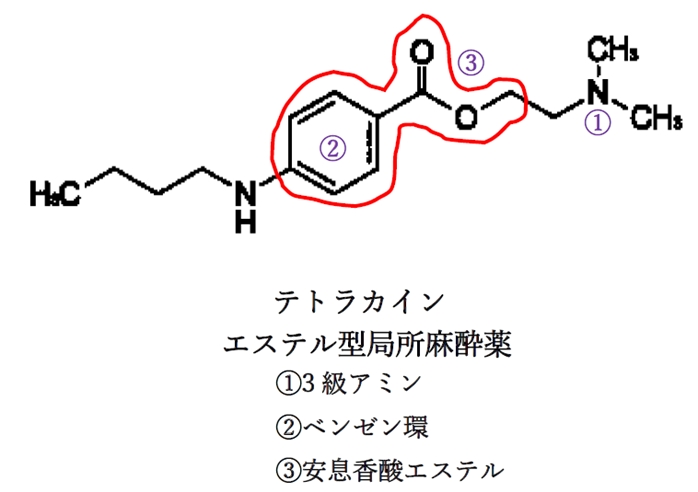 局所麻酔薬の構造の特徴 薬学化学